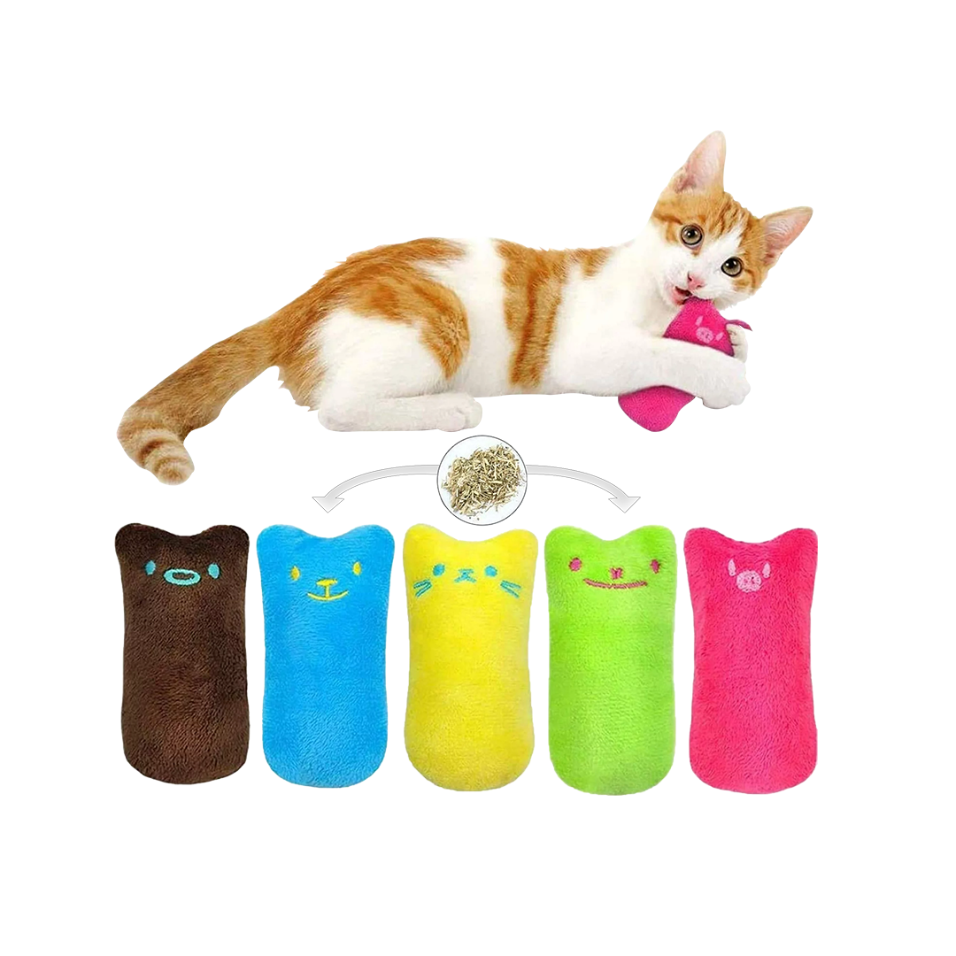 Pillow Catnip Toy for Cats