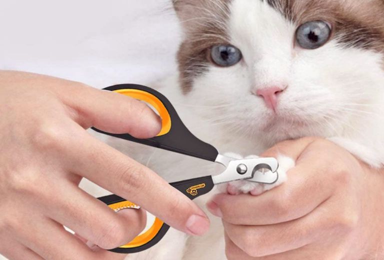 Cat Nail Cutter Price in Bangladesh